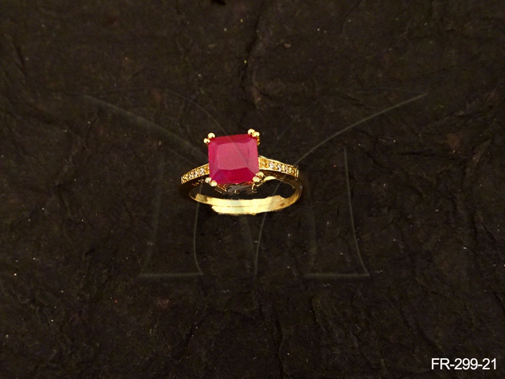 FR-299-21-RANI