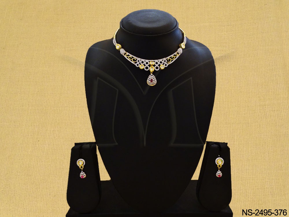 NS-2495-376-RANI