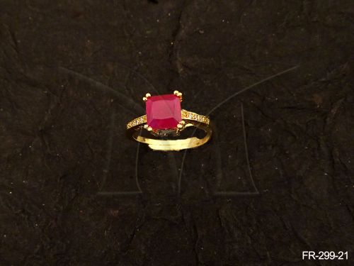 FR-299-21-RANI