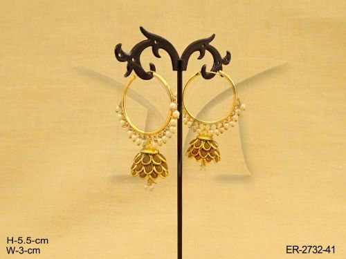ER-2732-41-BROWN