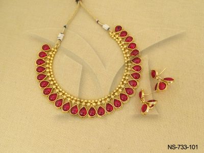 NS-733-101-RANI