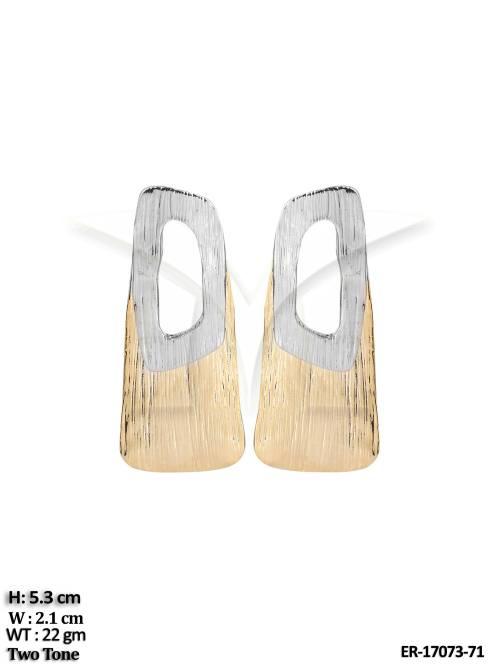 ER-17073-71-GOLD SILVER