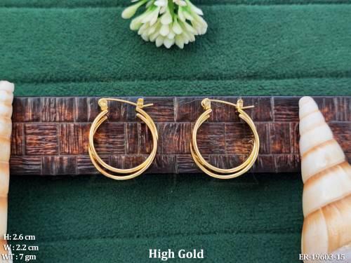 Classic Double Hoop Earrings for Women Daily Wear